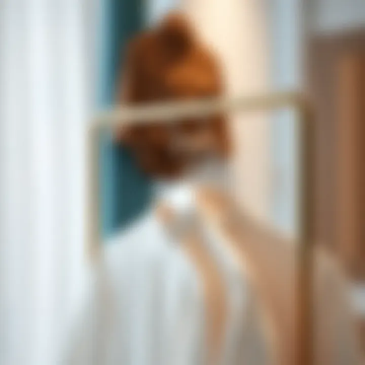 Sleek and modern clothes hanger organizer showcasing multi-tier design