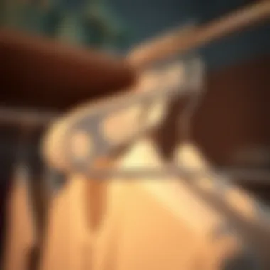 Close-up of a unique clothes hanger organizer made of eco-friendly materials