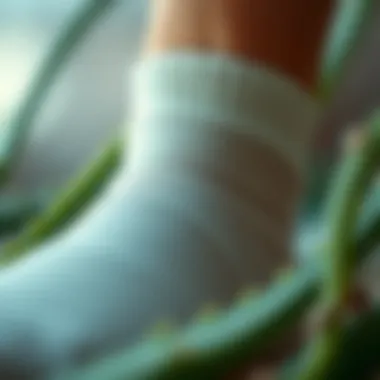 Close-up of aloe fiber texture