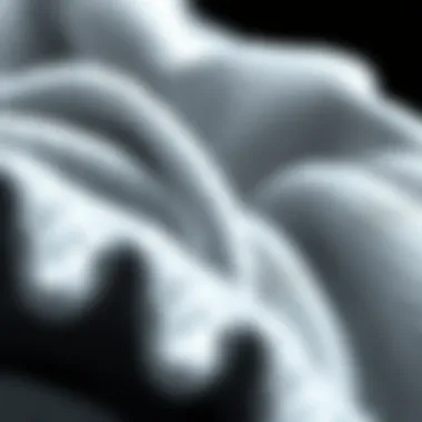 A close-up of antimicrobial fibers showcasing their unique structure