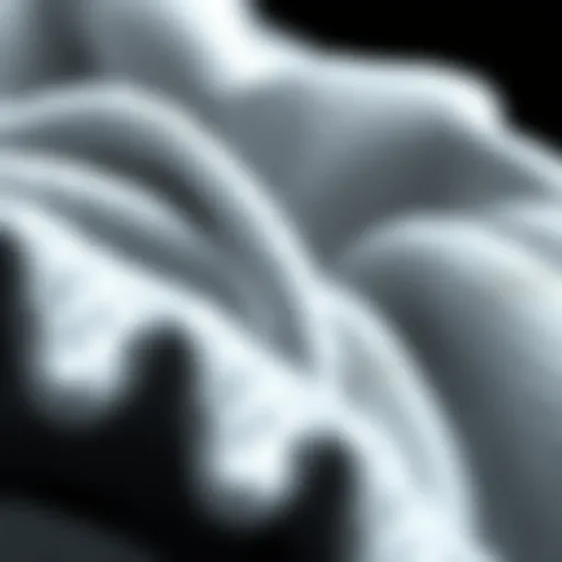 Unique Structure of Antimicrobial Fibers A close-up of antimicrobial fibers showcasing their unique structure