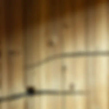 Textural Detail of Barnwood Wallpaper Close-up of barnwood peel and stick wallpaper texture