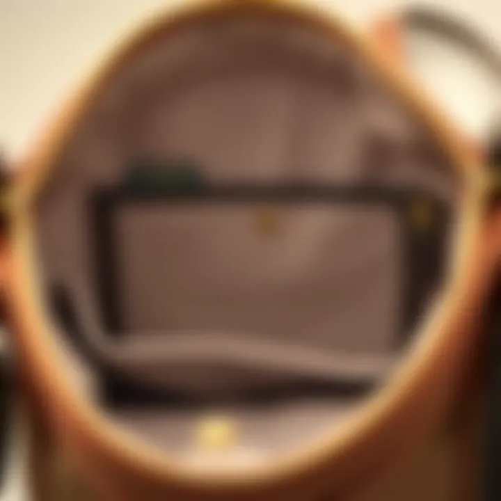 Practical Interior Compartments Interior layout of the Coach Georgie Gem Crossbody, highlighting its practical compartments