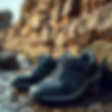 Water Shoes in an Outdoor Setting A pair of water shoes placed next to a rugged outdoor environment.