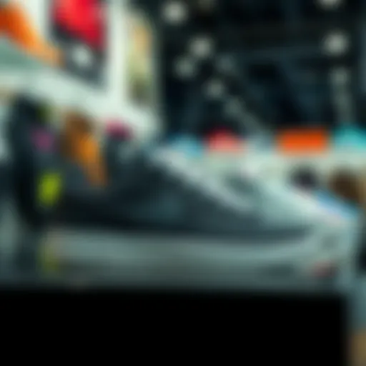 Stylish Exhibition of Nike Court Borough Footwear Stylish Nike Court Borough footwear on display