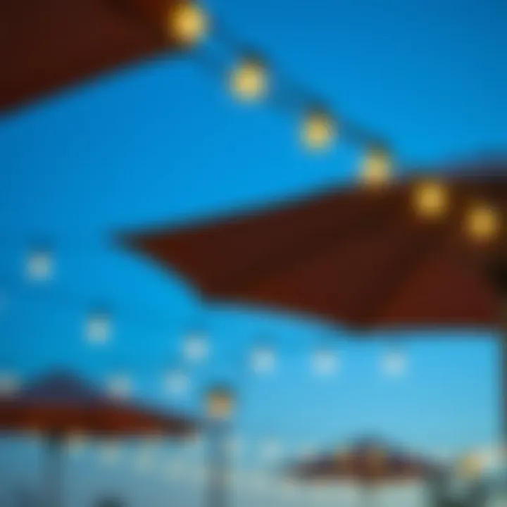 Variety of outdoor umbrella string lights showcasing design styles