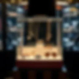 Elegant and stylish portable jewelry display case showcasing various accessories.