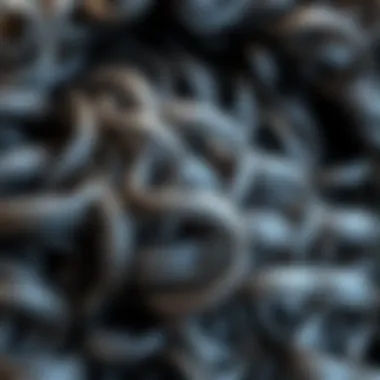 Close-up of the intricate curls in a salt and pepper wig, emphasizing the blend of gray and darker hues.