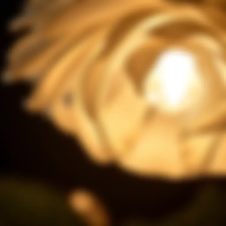 Close-up of the intricate design of the white rose lamp