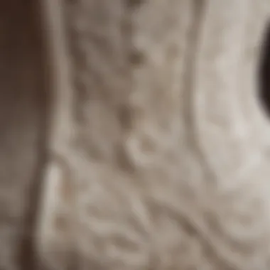 A close-up view of a vintage corset belt showcasing intricate lace details.