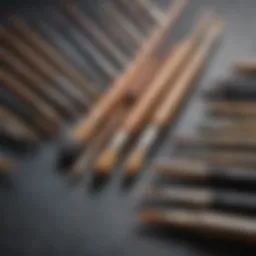 A stunning array of various nail art paint brushes displaying different shapes and sizes.