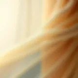 Close-up of sheer fabric showcasing its delicate texture and design