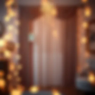 Elevating the Party Space Elegant fringe door curtain enhancing a festive atmosphere