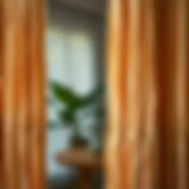 Materials that Matter Close-up of unique materials used in fringe door curtains