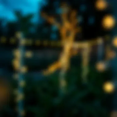 Dusk Illumination with Solar Fairy Lights Solar fairy lights illuminating a serene garden at dusk