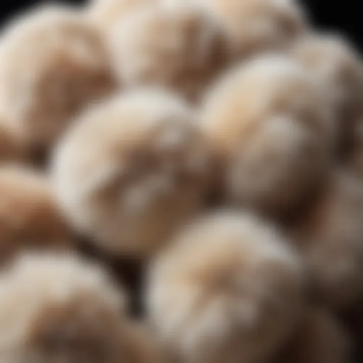 Close-up of luxurious rabbit fur pom pom in fashion design