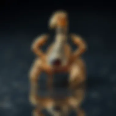 Symbolism of scorpions represented through unique jewelry