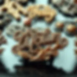 An elegant display of vintage name brooch pins showcasing intricate designs