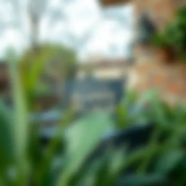 Serene Outdoor Space with Metal Sign Charming outdoor space featuring a 'This is My Happy Place' sign among greenery