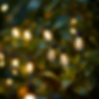 Waterproof Design of Solar Fairy Lights Close-up of waterproof solar fairy lights amidst foliage