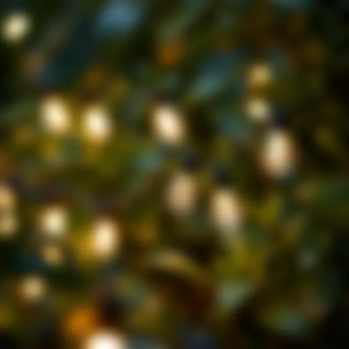 Waterproof Design of Solar Fairy Lights Close-up of waterproof solar fairy lights amidst foliage